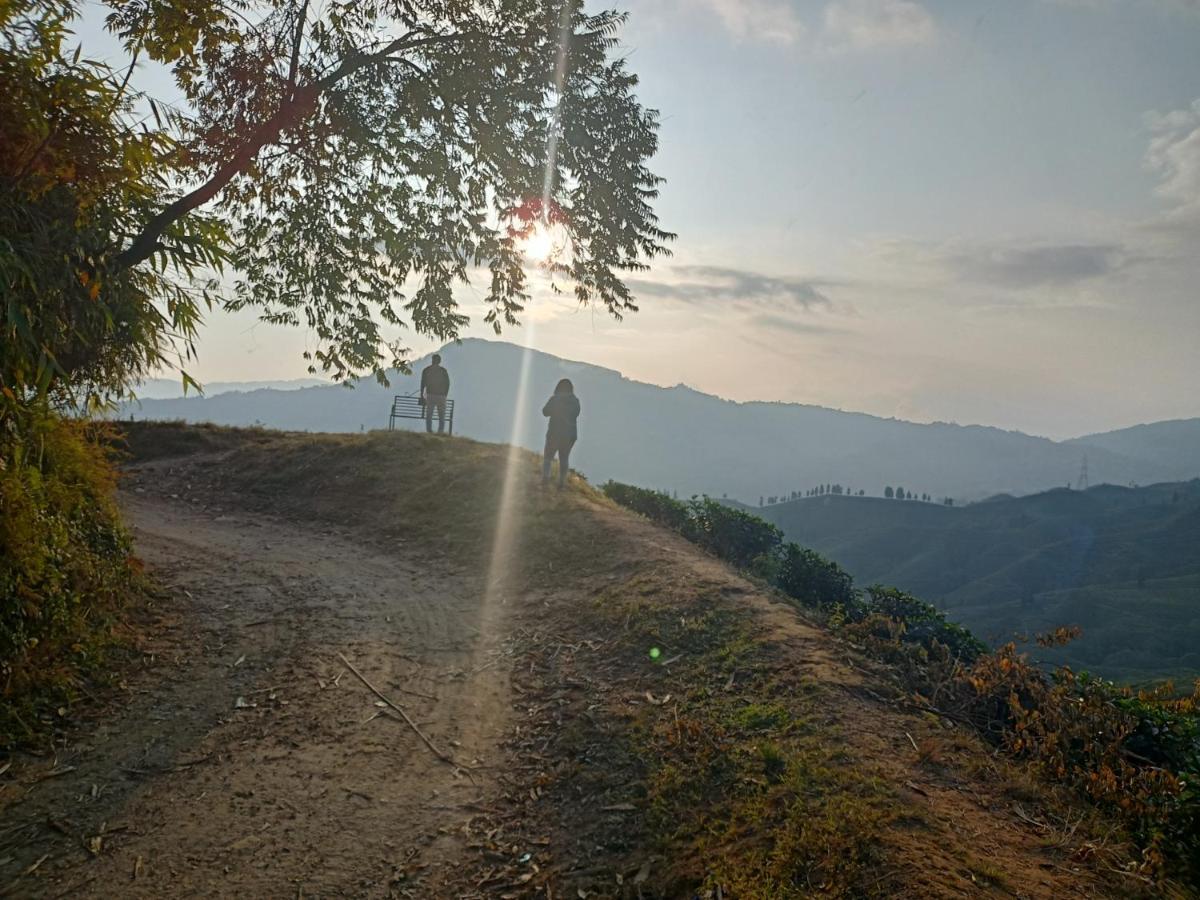 Theeng'S Homestay Mirik Kültér fotó